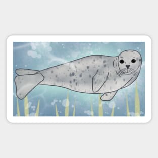 Peace - Pacific Harbor Seal Magnet